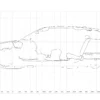 Audi Q3 FWD Prestige 2015 3D Scan